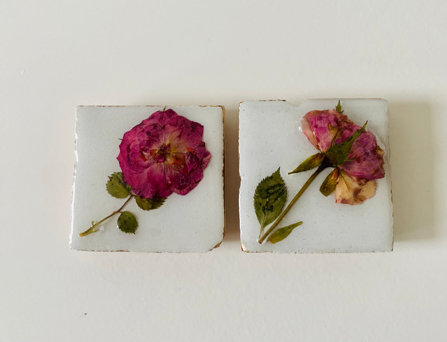 Flowertile Roosje 5x5