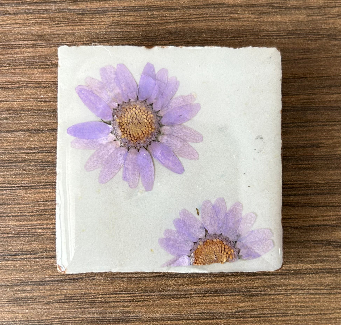 Flowertile met lila margrietje