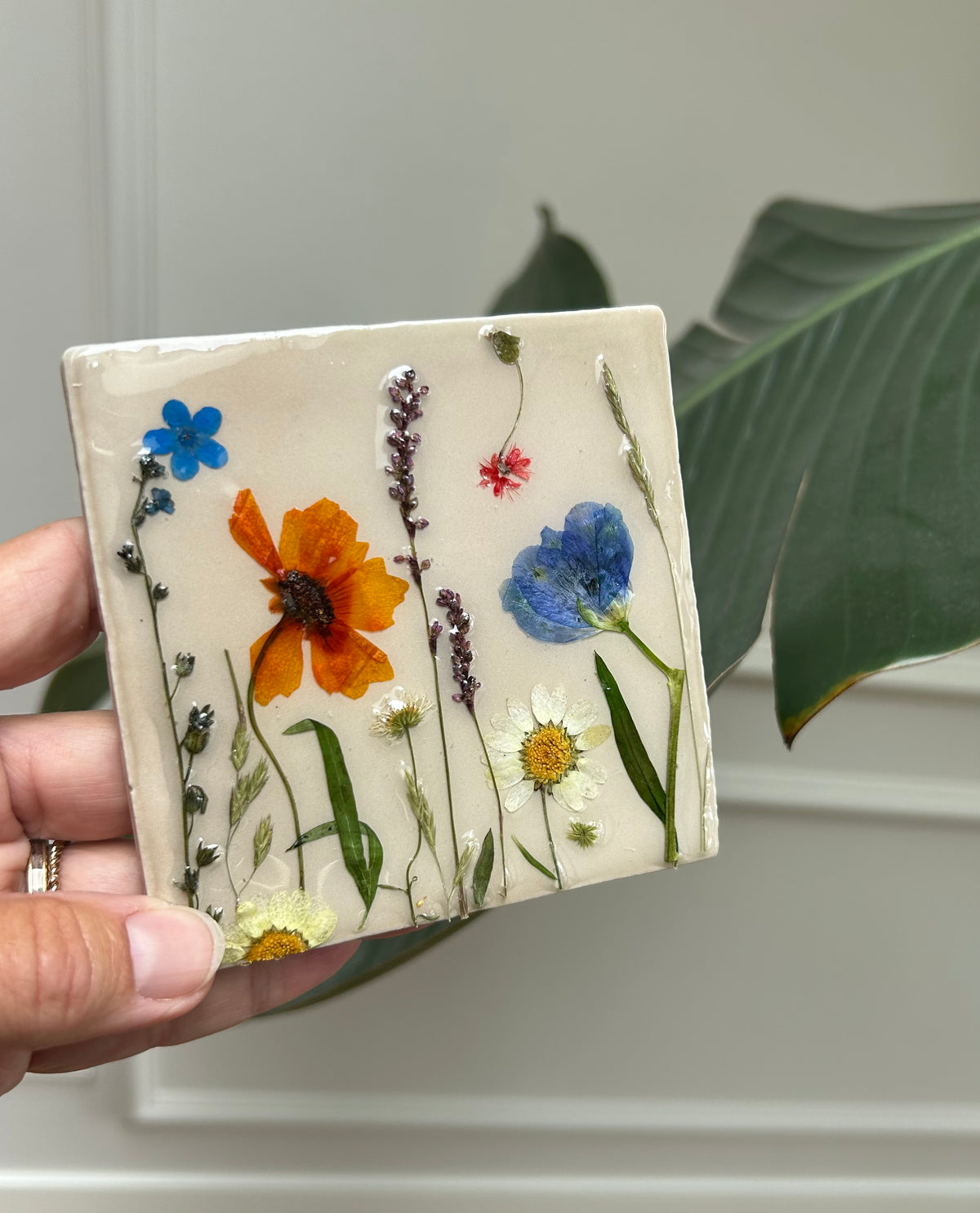 Beige blauw/oranje