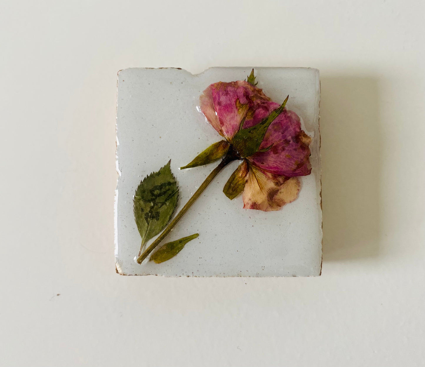 Flowertile Roosje 5x5