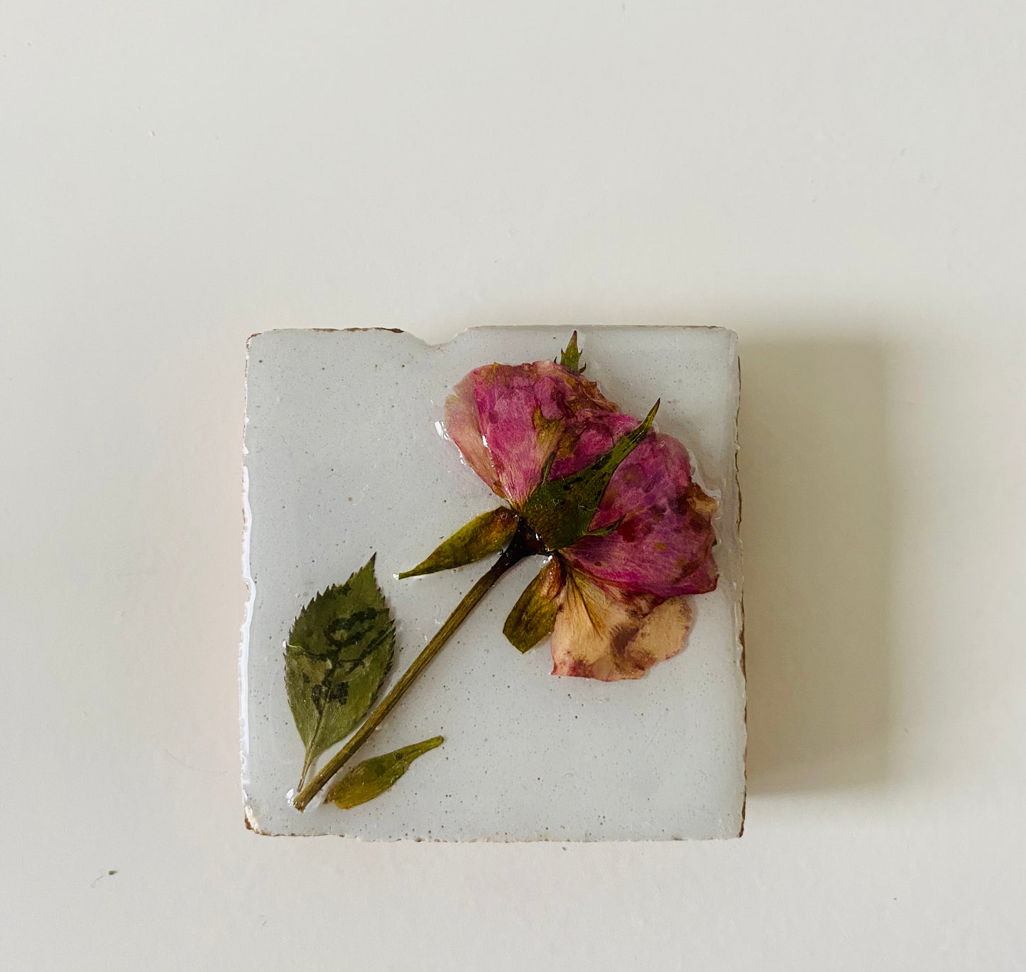 Flowertile Roosje 5x5