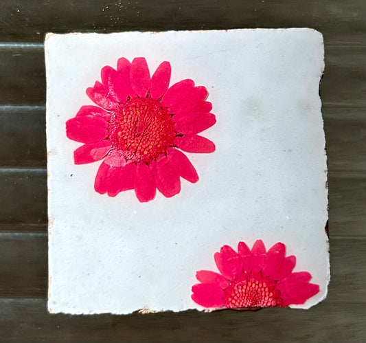 Flowertile rood madeliefje