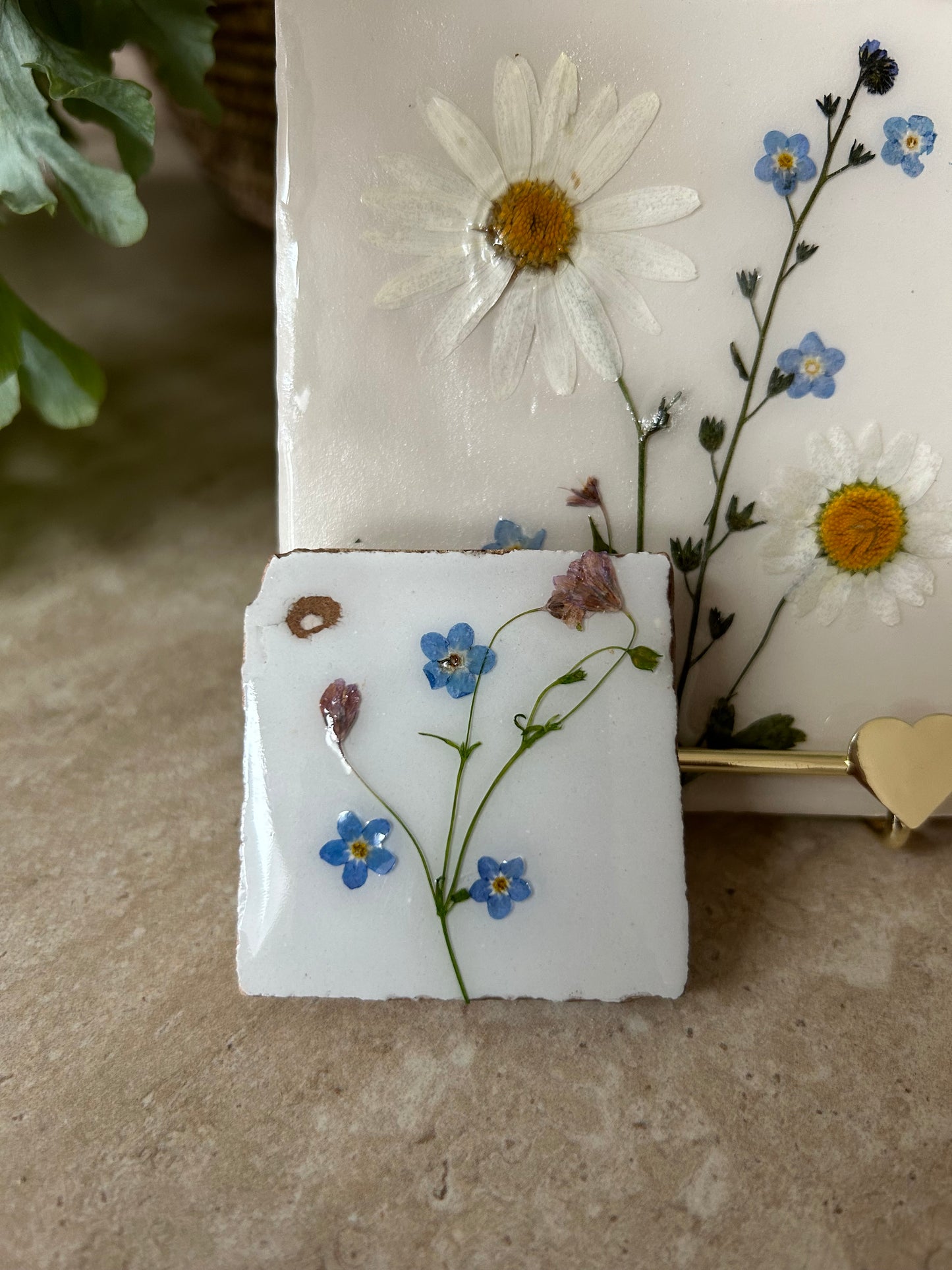 Tegeltje vergeet me nietjes