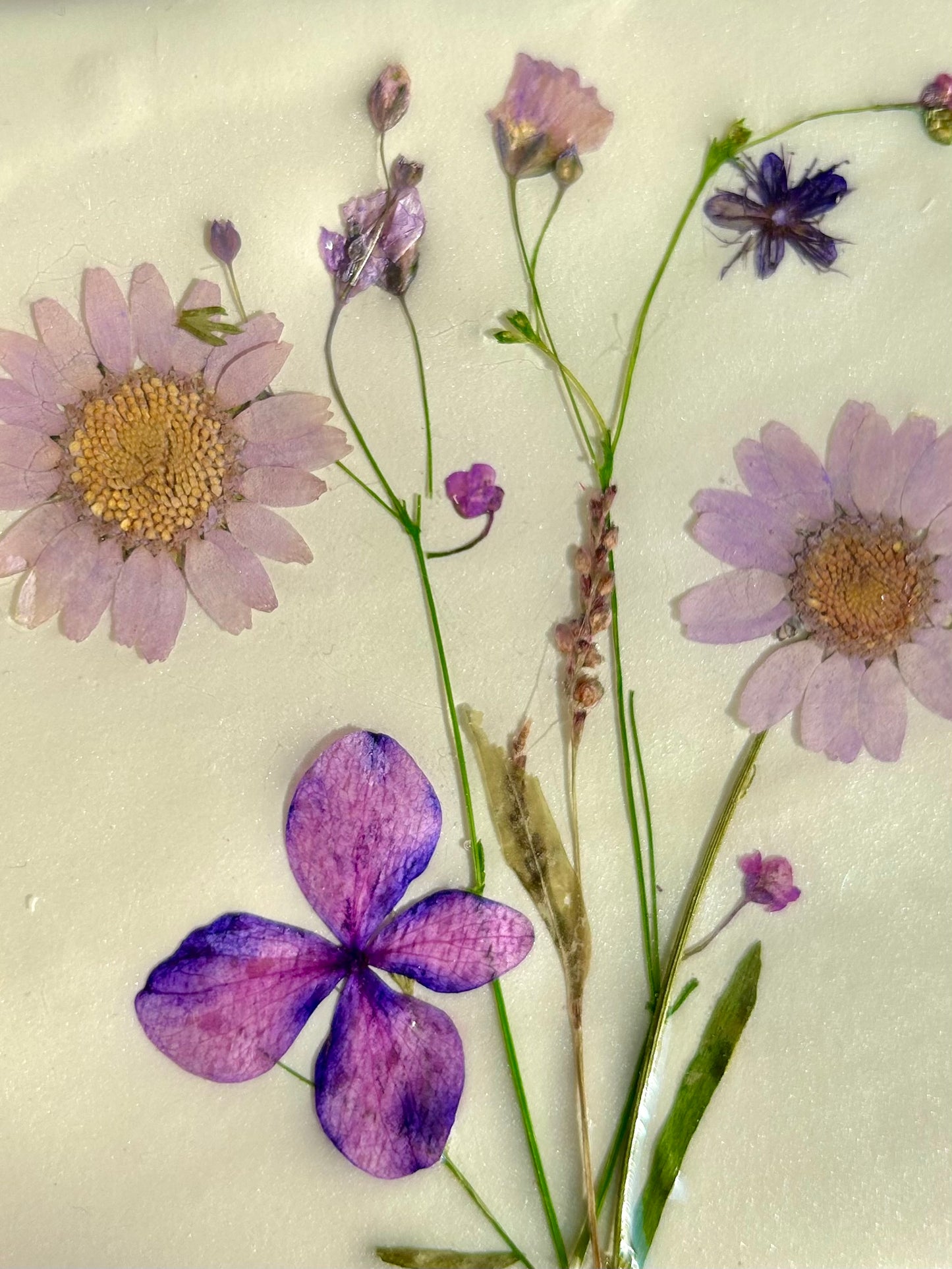 Flowertile lila madeliefje