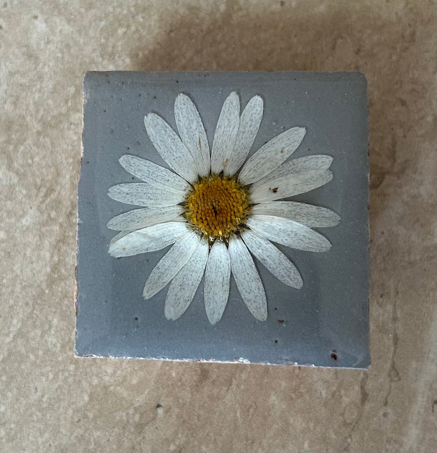 Flowertile Margriet 5x5cm