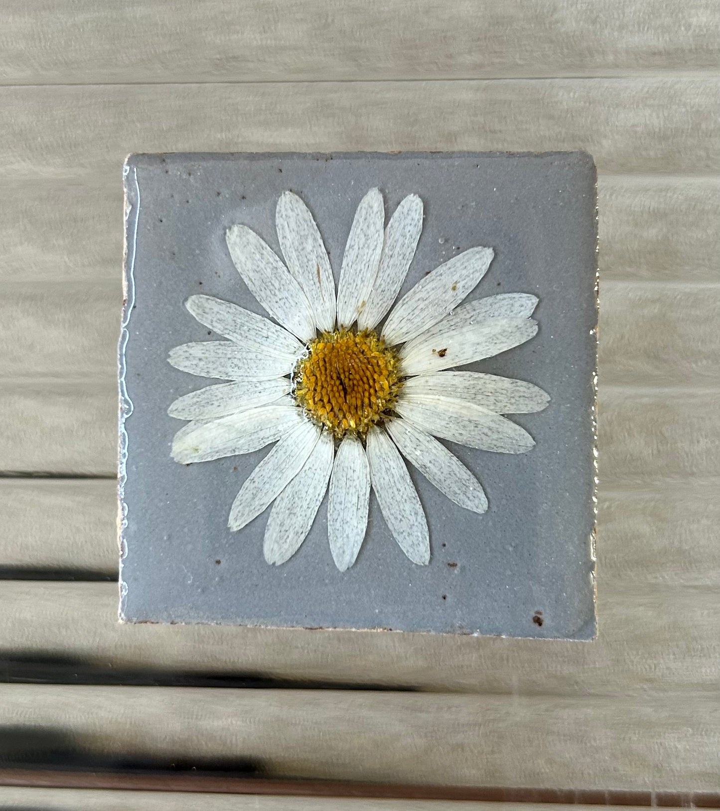 Flowertile Margriet 5x5cm