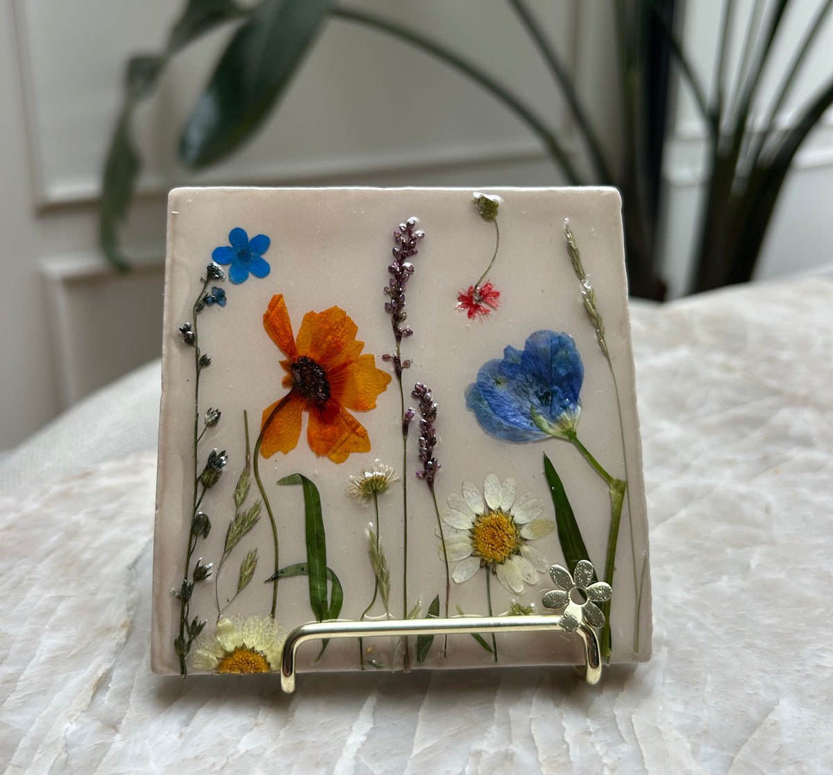 Beige blauw/oranje